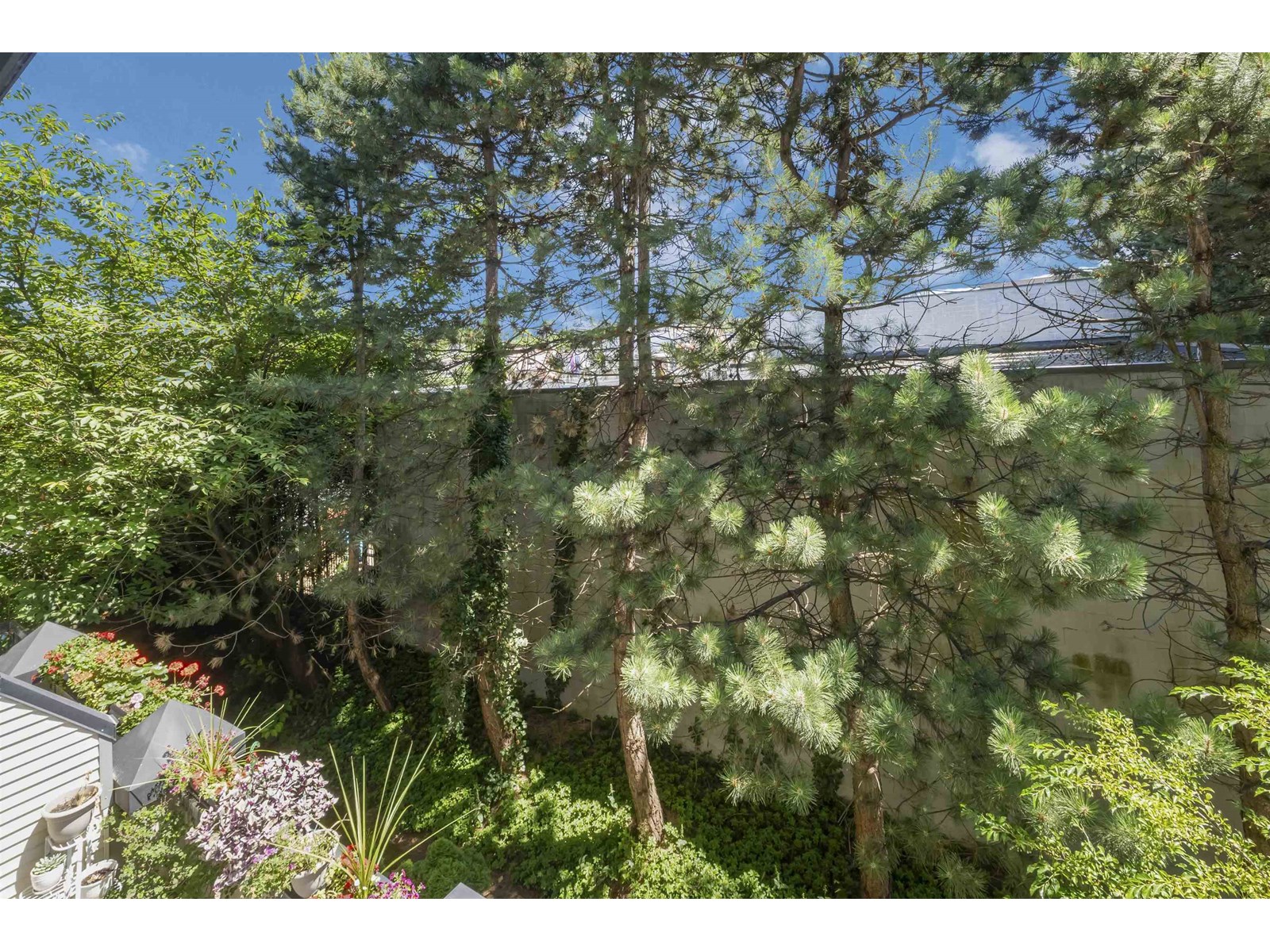 338 10838 City Parkway, Surrey, British Columbia  V3T 5X9 - Photo 29 - R3028966