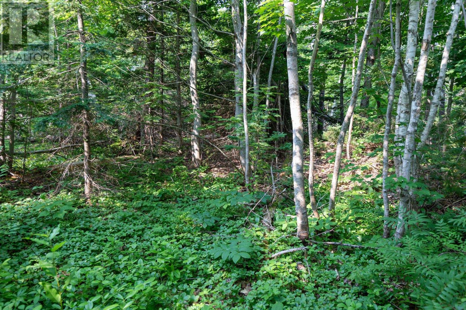 Lot Souris Line Road, Souris, Prince Edward Island  C0A 2B0 - Photo 4 - 202518261