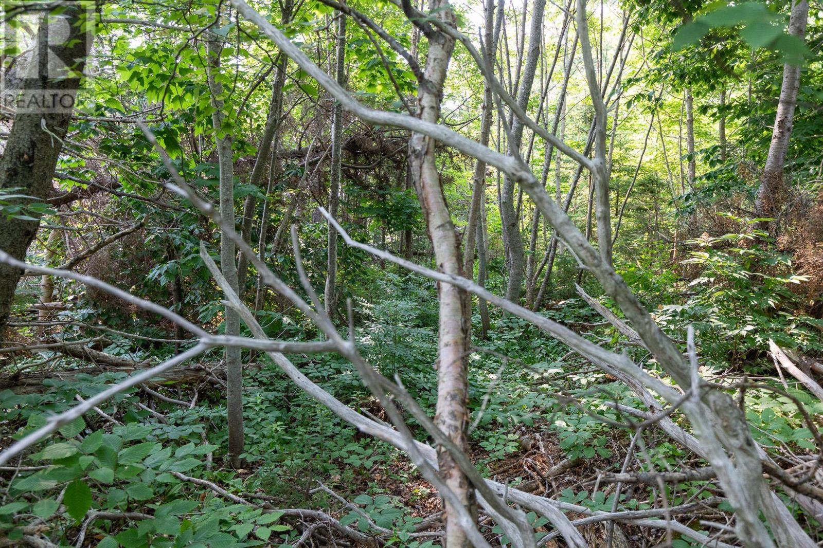 Lot Souris Line Road, Souris, Prince Edward Island  C0A 2B0 - Photo 5 - 202518261