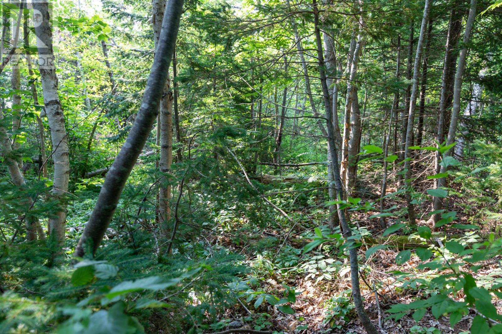 Lot Souris Line Road, Souris, Prince Edward Island  C0A 2B0 - Photo 6 - 202518261