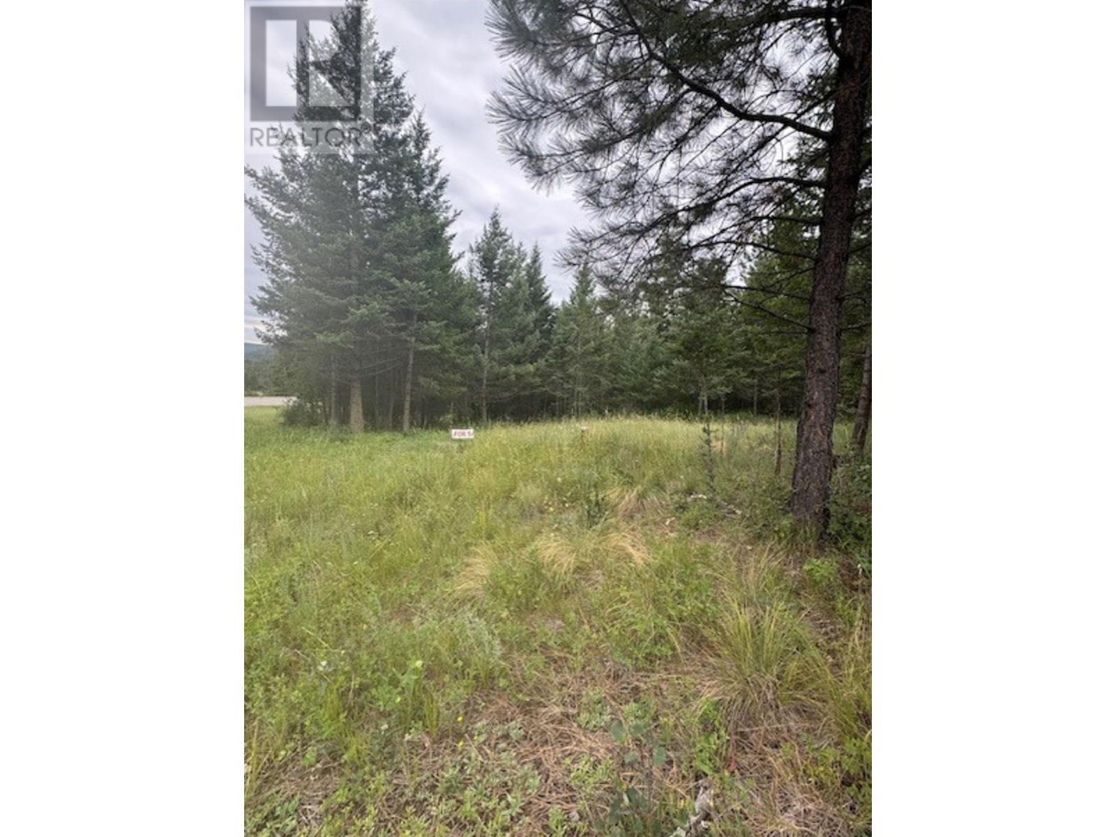 Lot 57 Charles Street, Elko, British Columbia  V0B 1T3 - Photo 2 - 10356792
