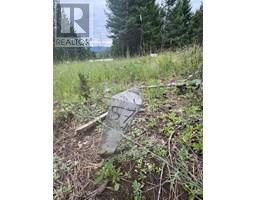 Lot 57 Charles Street, elko, British Columbia