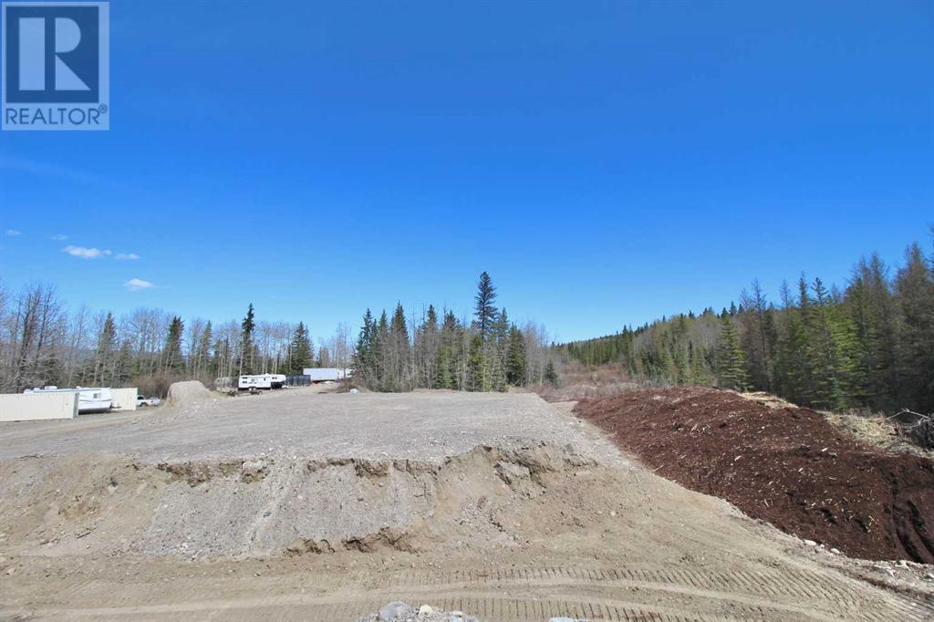 779 Makenny Street, Hinton, Alberta  T7V 1H3 - Photo 32 - A2191267