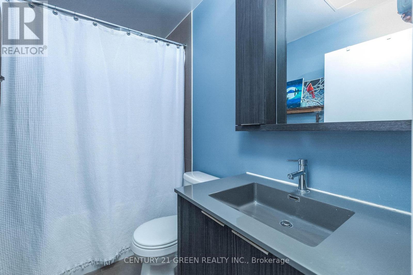 203 - 99 The Donway Way, Toronto (Banbury-Don Mills), Ontario  M3C 0G1 - Photo 5 - C12298257