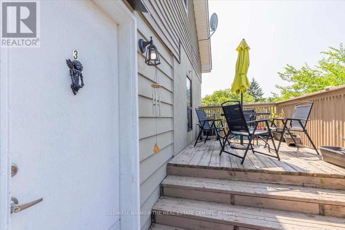 379 Simcoe Street, Newmarket, Ontario  L3Y 2M4 - Photo 28 - N12298261