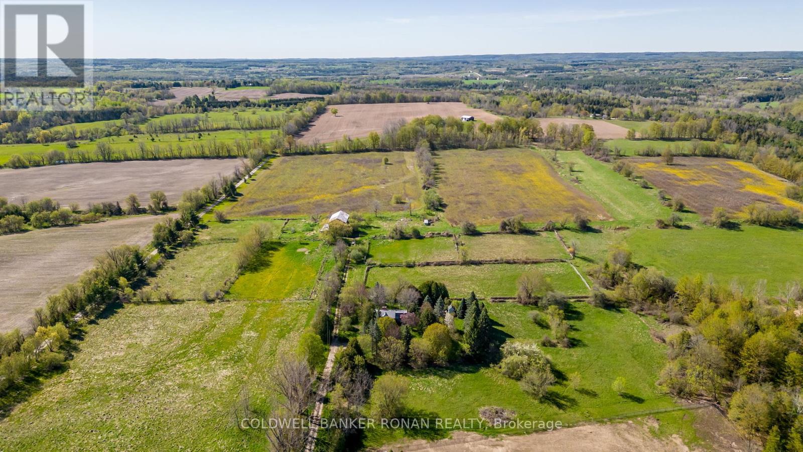 Property at 8689 COUNTY RD 1 image 1