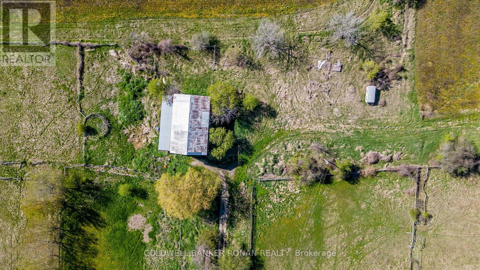 8689 County Rd 1, Adjala-Tosorontio, Ontario  L0G 1L0 - Photo 11 - N12298304