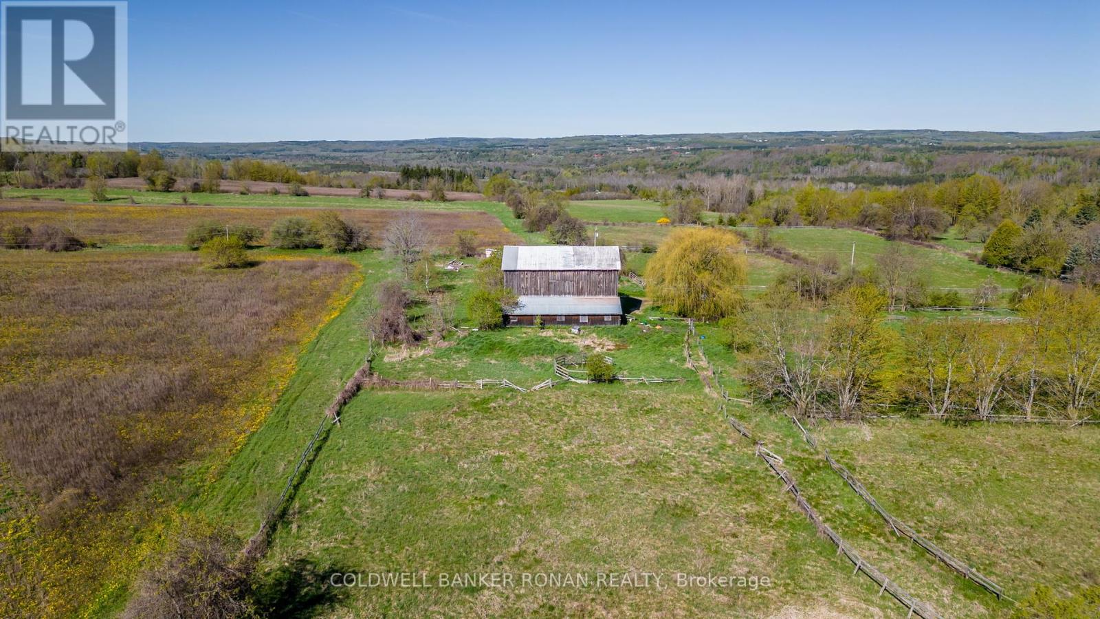 8689 County Rd 1, Adjala-Tosorontio, Ontario  L0G 1L0 - Photo 12 - N12298304