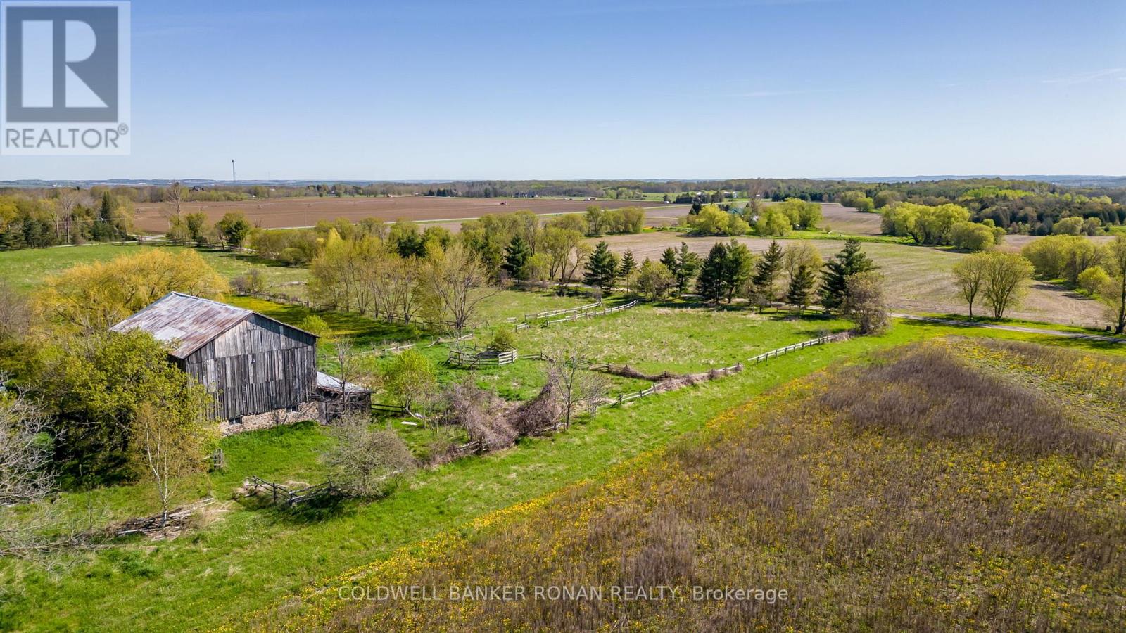 8689 County Rd 1, Adjala-Tosorontio, Ontario  L0G 1L0 - Photo 15 - N12298304