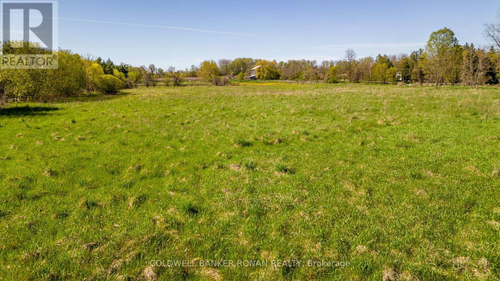 8689 County Rd 1, Adjala-Tosorontio, Ontario  L0G 1L0 - Photo 17 - N12298304