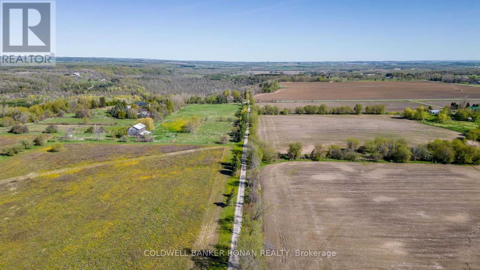 8689 County Rd 1, Adjala-Tosorontio, Ontario  L0G 1L0 - Photo 18 - N12298304