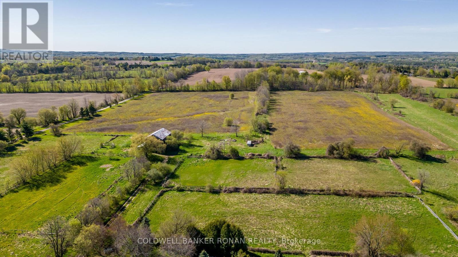 8689 County Rd 1, Adjala-Tosorontio, Ontario  L0G 1L0 - Photo 20 - N12298304