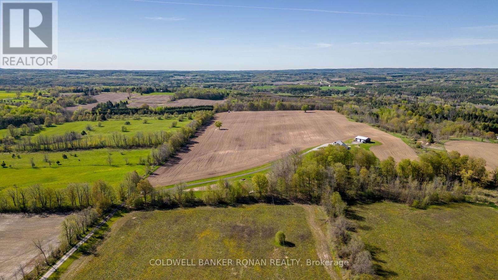 8689 County Rd 1, Adjala-Tosorontio, Ontario  L0G 1L0 - Photo 21 - N12298304