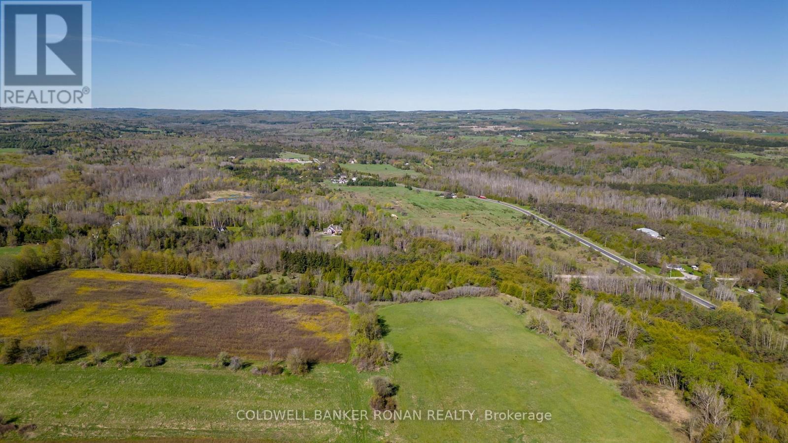 8689 County Rd 1, Adjala-Tosorontio, Ontario  L0G 1L0 - Photo 22 - N12298304