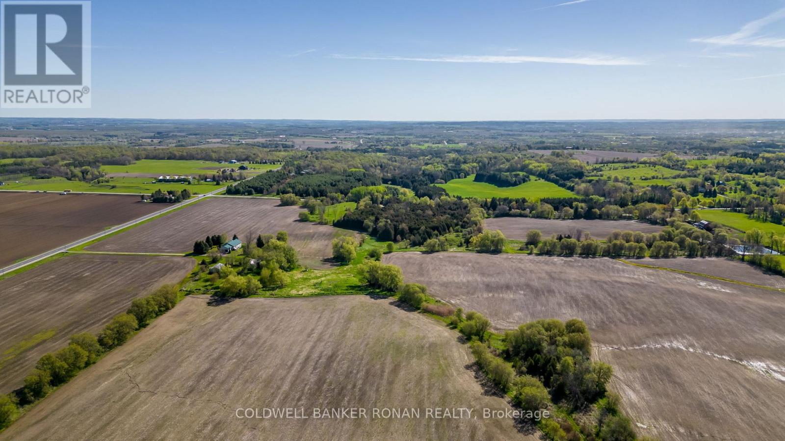 8689 County Rd 1, Adjala-Tosorontio, Ontario  L0G 1L0 - Photo 24 - N12298304