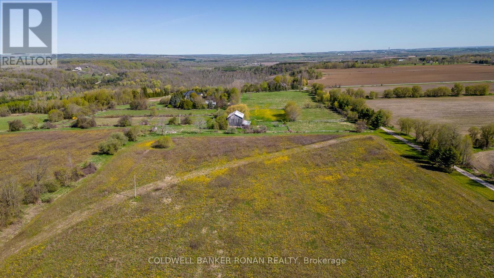 8689 County Rd 1, Adjala-Tosorontio, Ontario  L0G 1L0 - Photo 25 - N12298304