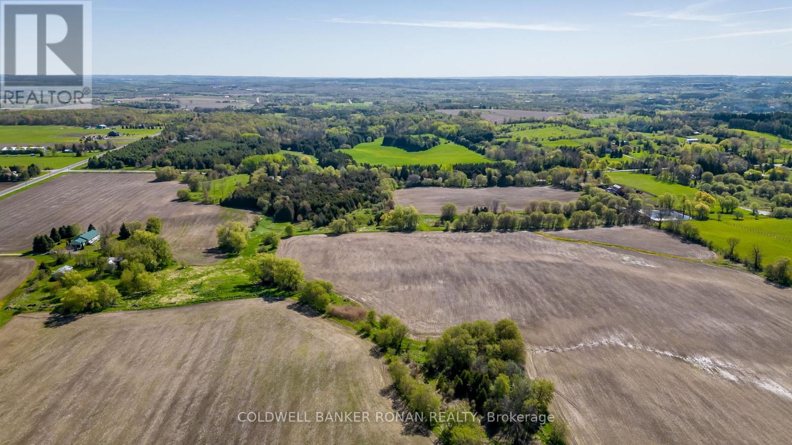 8689 County Rd 1, Adjala-Tosorontio, Ontario  L0G 1L0 - Photo 26 - N12298304