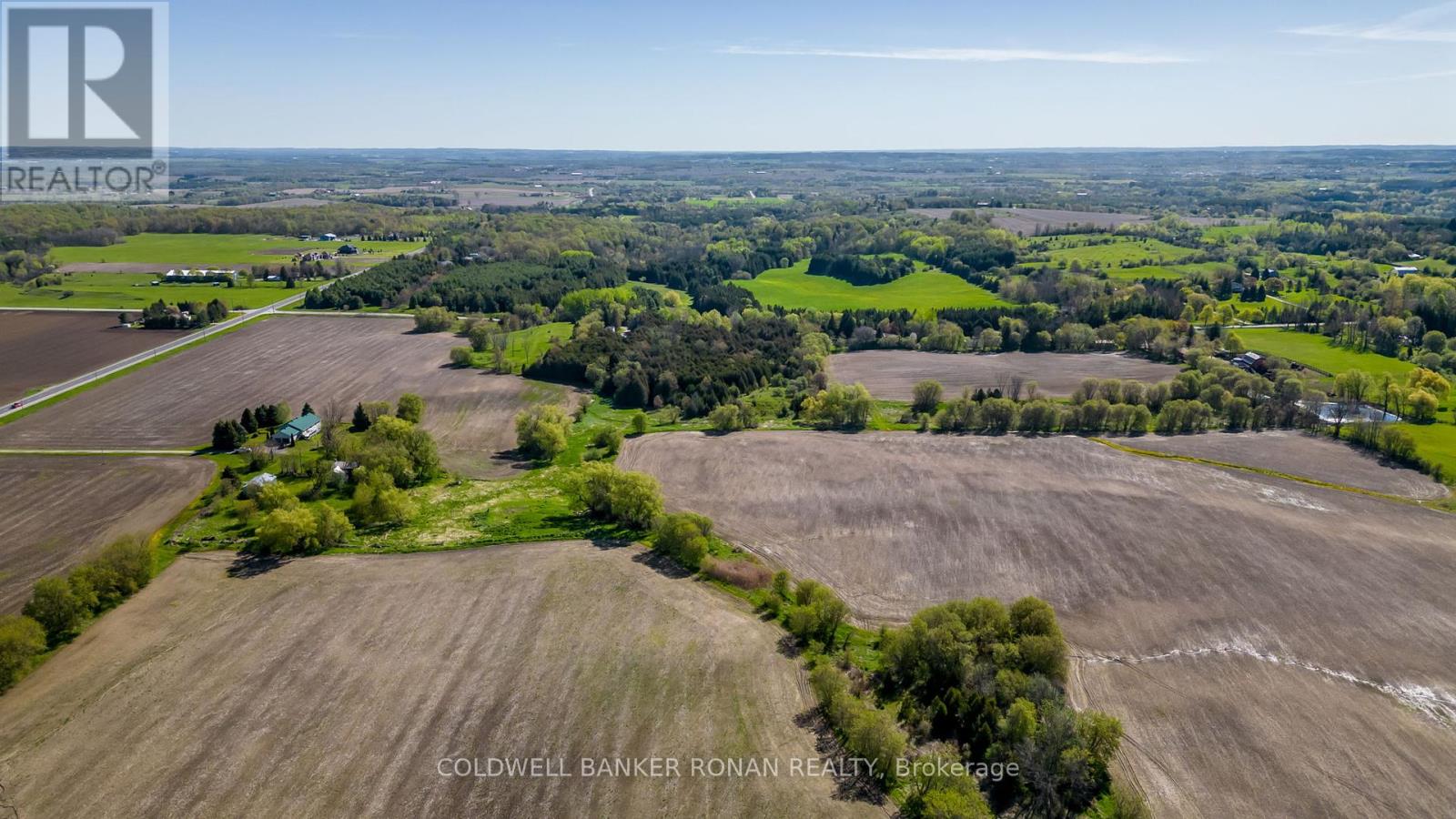 8689 County Rd 1, Adjala-Tosorontio, Ontario  L0G 1L0 - Photo 31 - N12298304