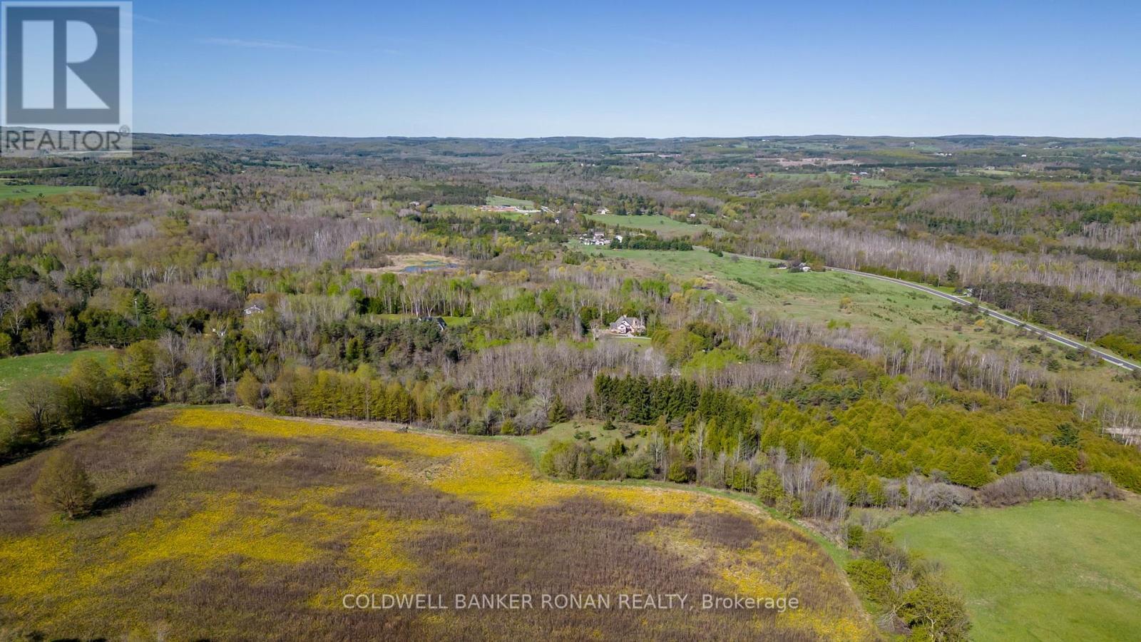 8689 County Rd 1, Adjala-Tosorontio, Ontario  L0G 1L0 - Photo 33 - N12298304