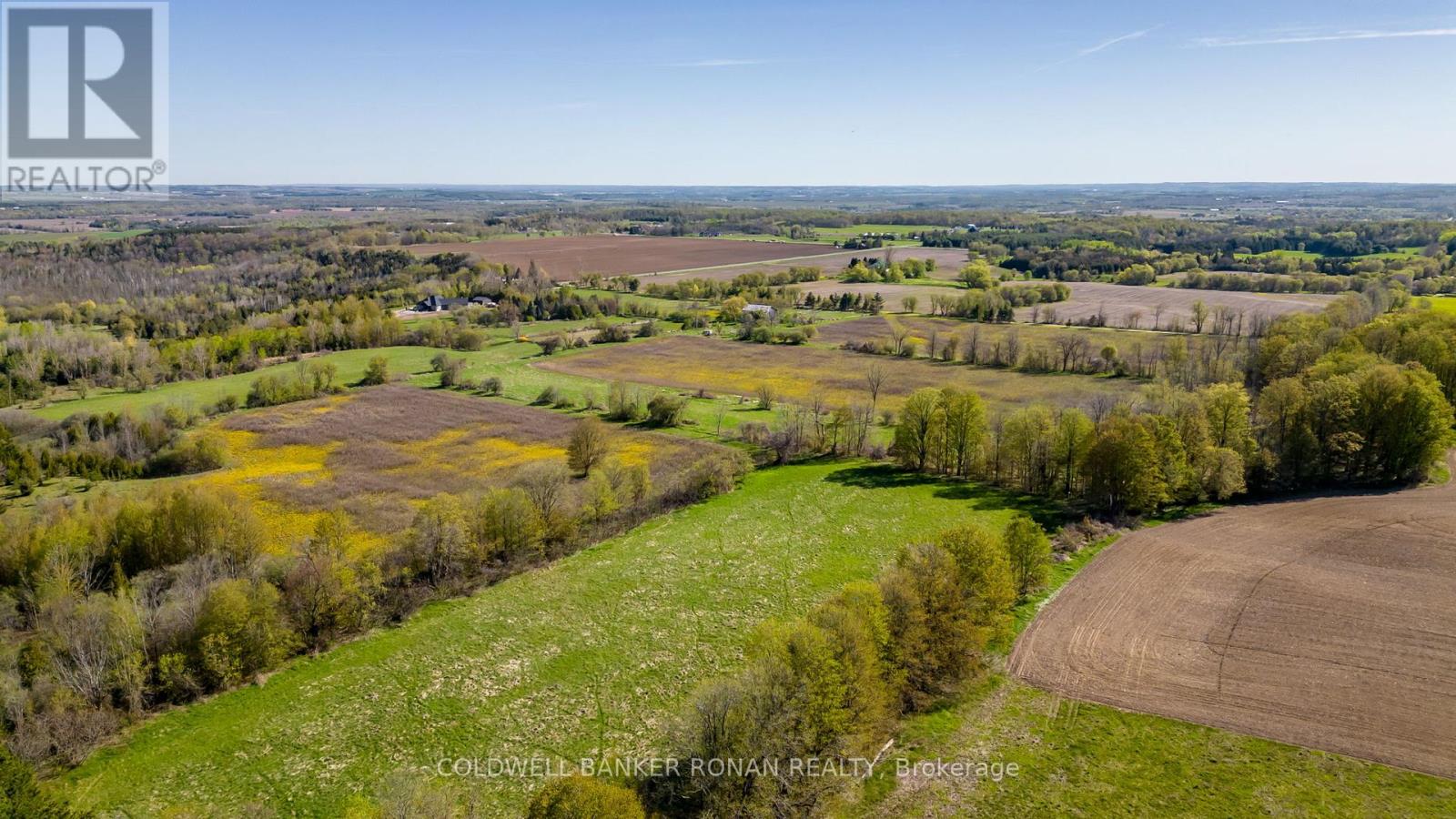 8689 County Rd 1, Adjala-Tosorontio, Ontario  L0G 1L0 - Photo 34 - N12298304
