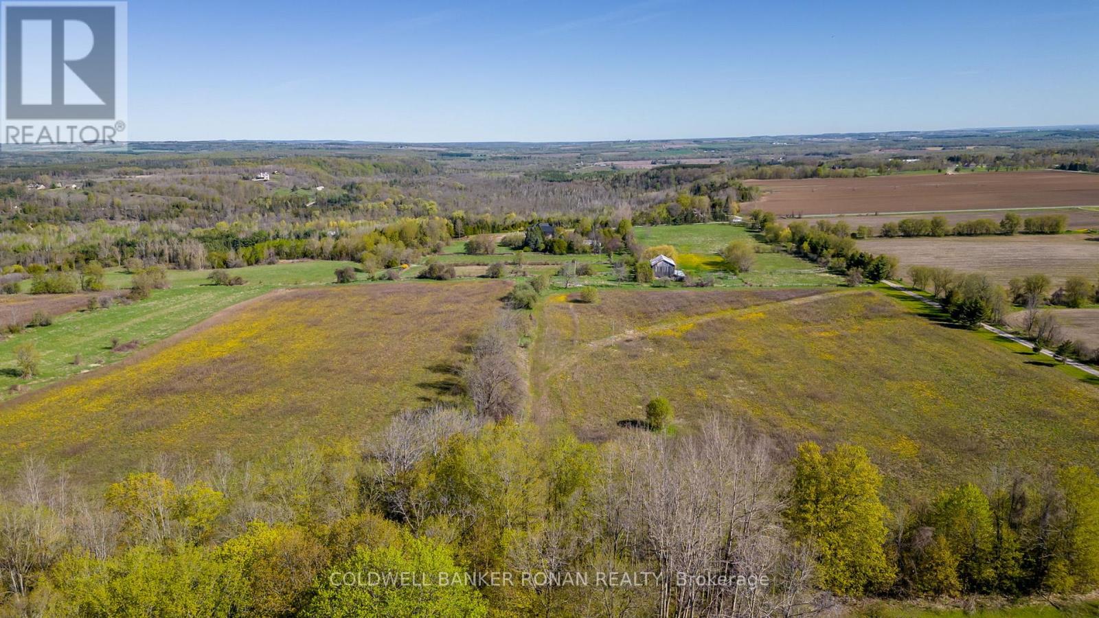 8689 County Rd 1, Adjala-Tosorontio, Ontario  L0G 1L0 - Photo 35 - N12298304