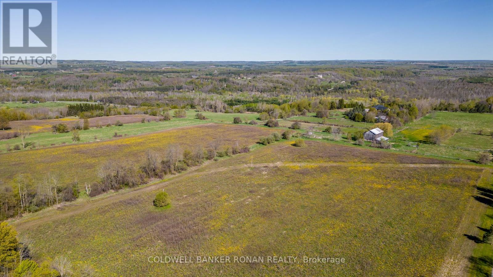 8689 County Rd 1, Adjala-Tosorontio, Ontario  L0G 1L0 - Photo 36 - N12298304