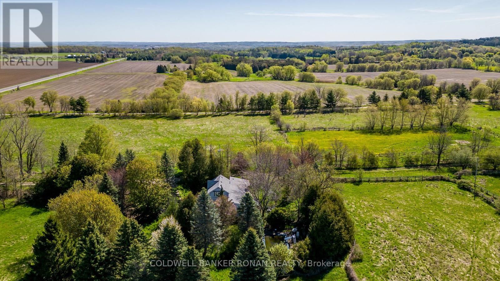 Property at 8689 COUNTY RD 1 image 4