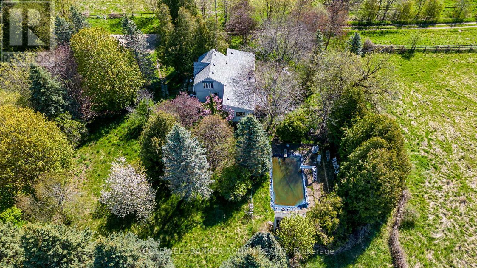Property at 8689 COUNTY RD 1 image 5