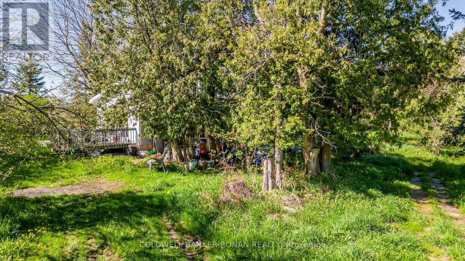 8689 County Rd 1, Adjala-Tosorontio, Ontario  L0G 1L0 - Photo 6 - N12298304