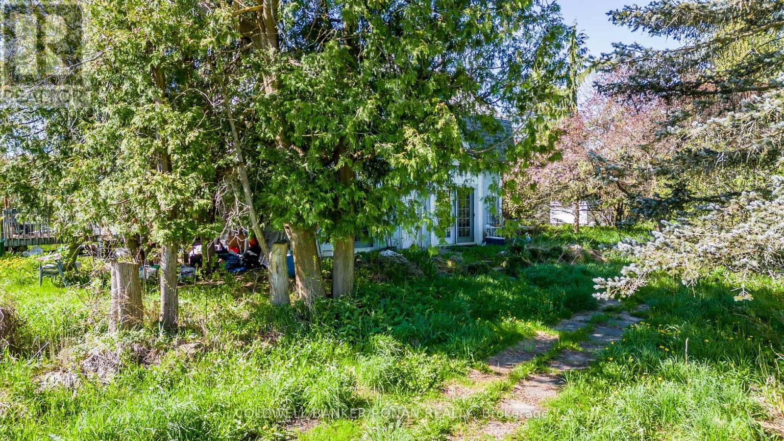 8689 County Rd 1, Adjala-Tosorontio, Ontario  L0G 1L0 - Photo 7 - N12298304