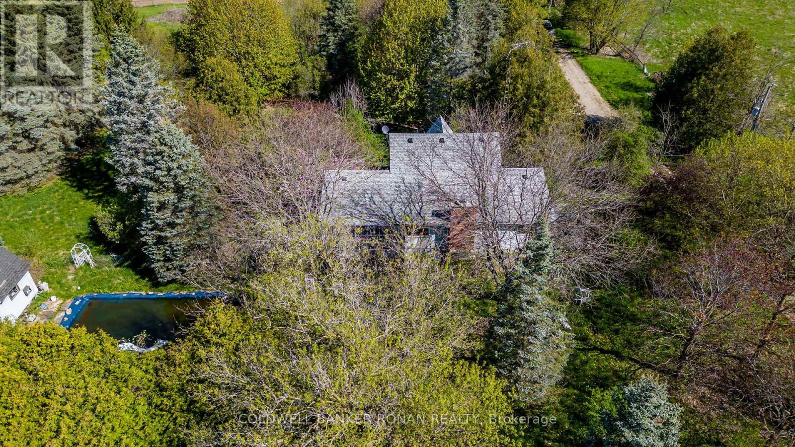 8689 County Rd 1, Adjala-Tosorontio, Ontario  L0G 1L0 - Photo 8 - N12298304