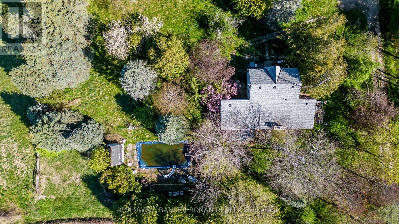 8689 County Rd 1, Adjala-Tosorontio, Ontario  L0G 1L0 - Photo 9 - N12298304