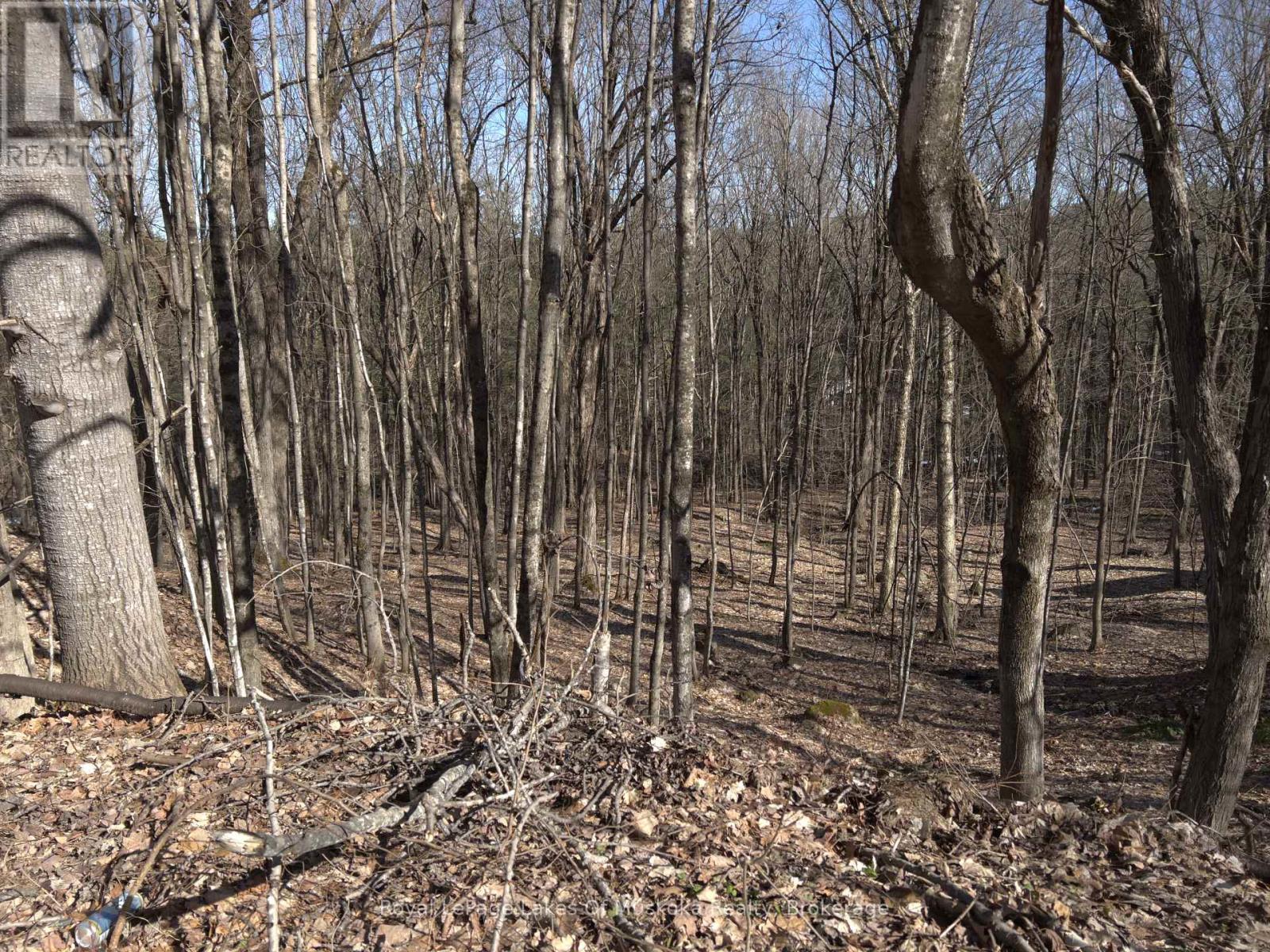 Property at 0 SOUTH MUSKOKA DRIVE image