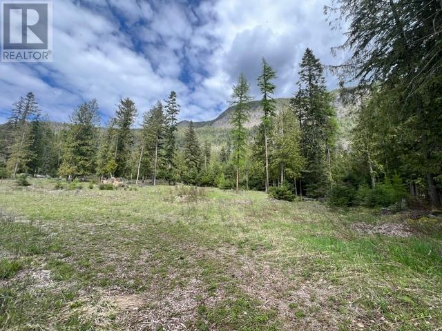 4852 48th Street, Canyon, British Columbia  V0B 1C1 - Photo 3 - 10356501