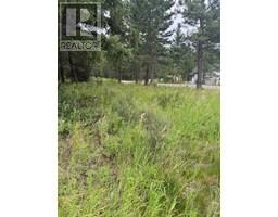 Lot 56 Charles Street, elko, British Columbia