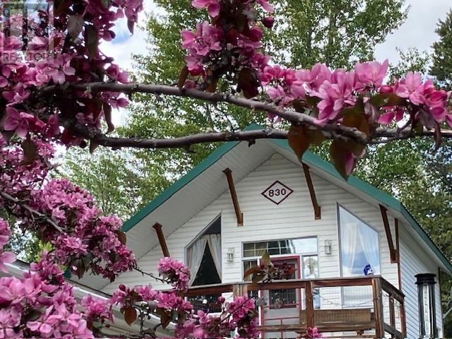 830 BEAVEN CRESCENT, Valemount, British Columbia