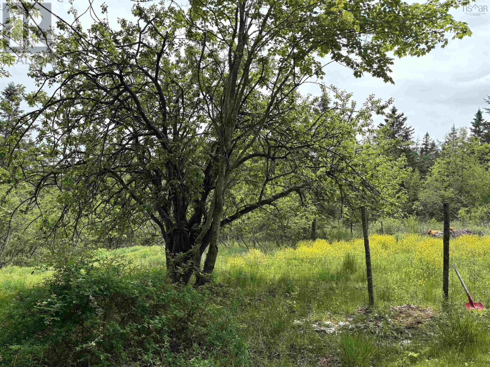 Property at 14422 HWY 224 Road image 4