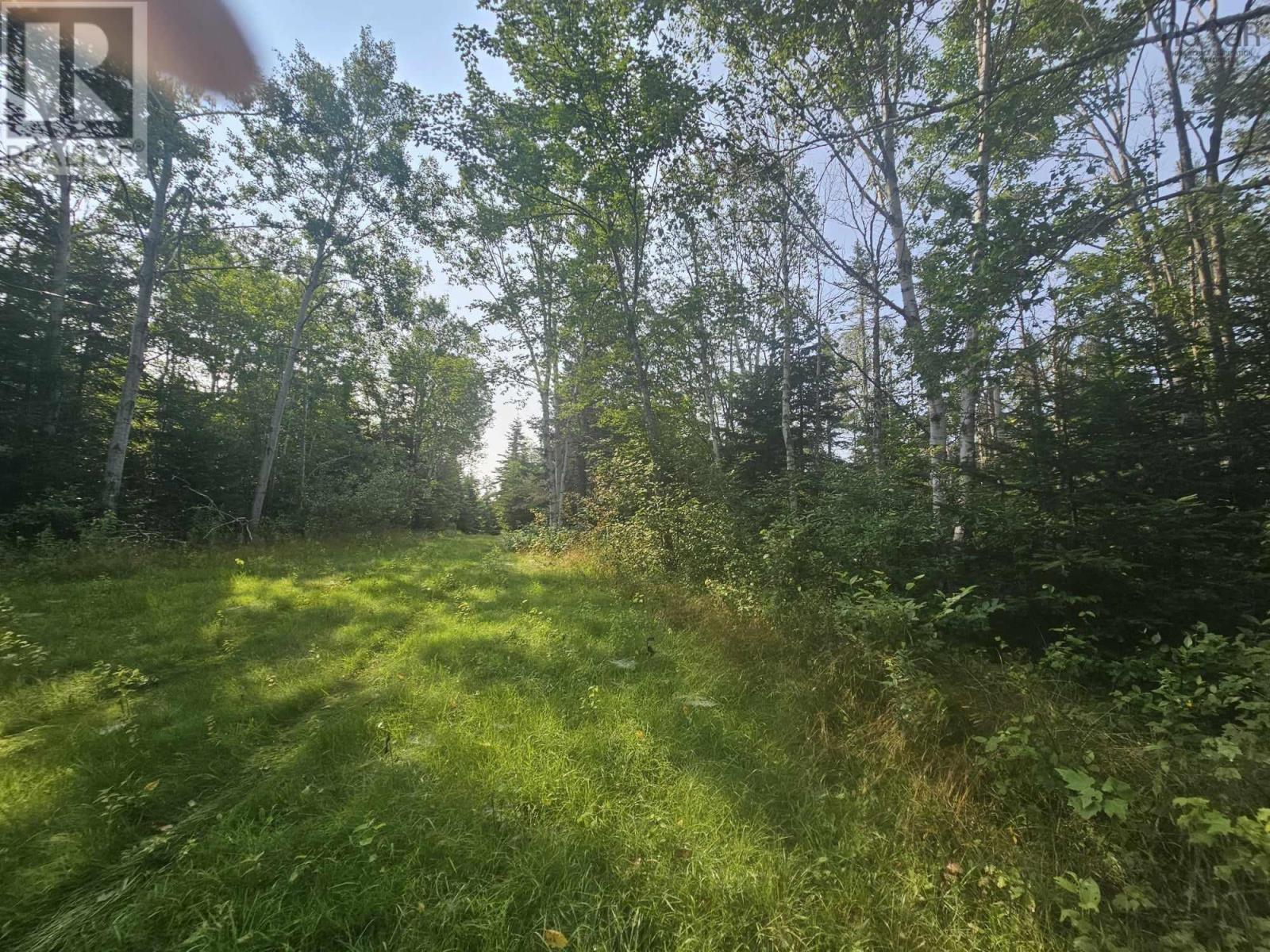 138 Grand Mira South Road, Marion Bridge, Nova Scotia  B1K 1E7 - Photo 13 - 202507052