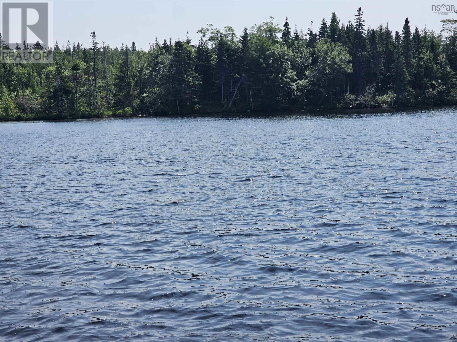 138 Grand Mira South Road, Marion Bridge, Nova Scotia  B1K 1E7 - Photo 5 - 202507052