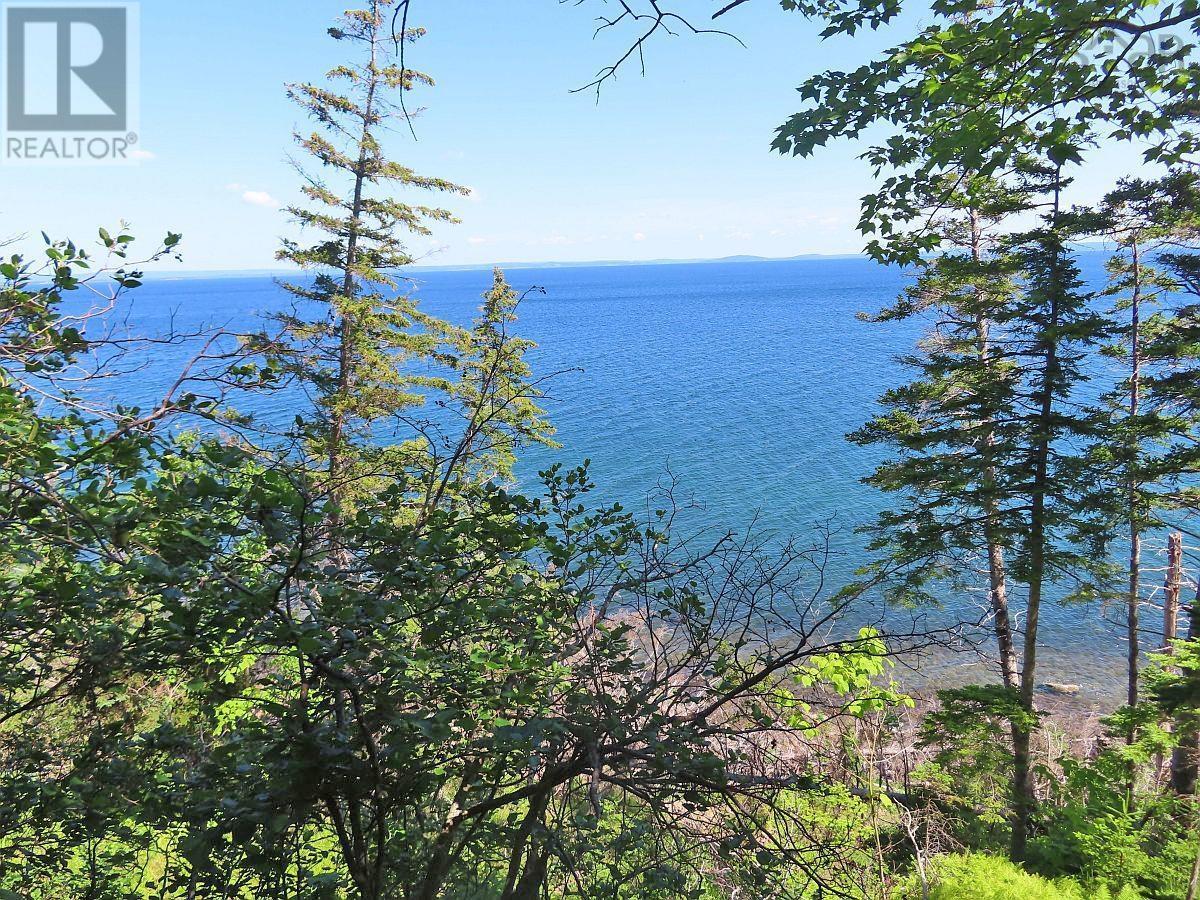 195 Acres West Bay Highway, Roberta, Nova Scotia  B0E 3K0 - Photo 11 - 202509009