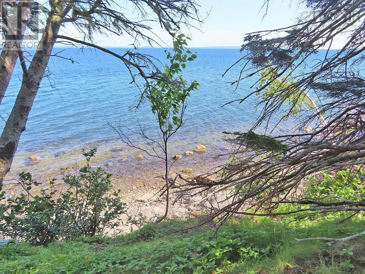 195 Acres West Bay Highway, Roberta, Nova Scotia  B0E 3K0 - Photo 10 - 202509009