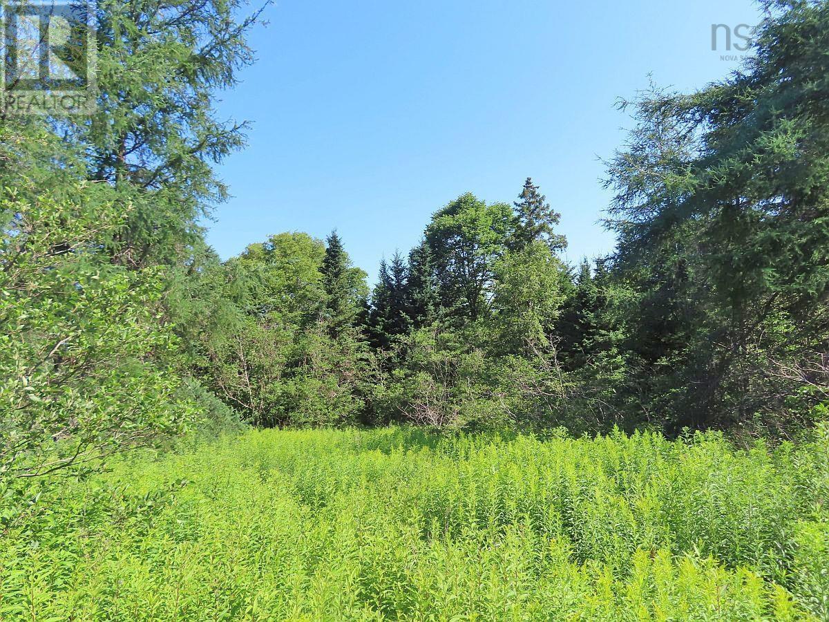 195 Acres West Bay Highway, Roberta, Nova Scotia  B0E 3K0 - Photo 33 - 202509009