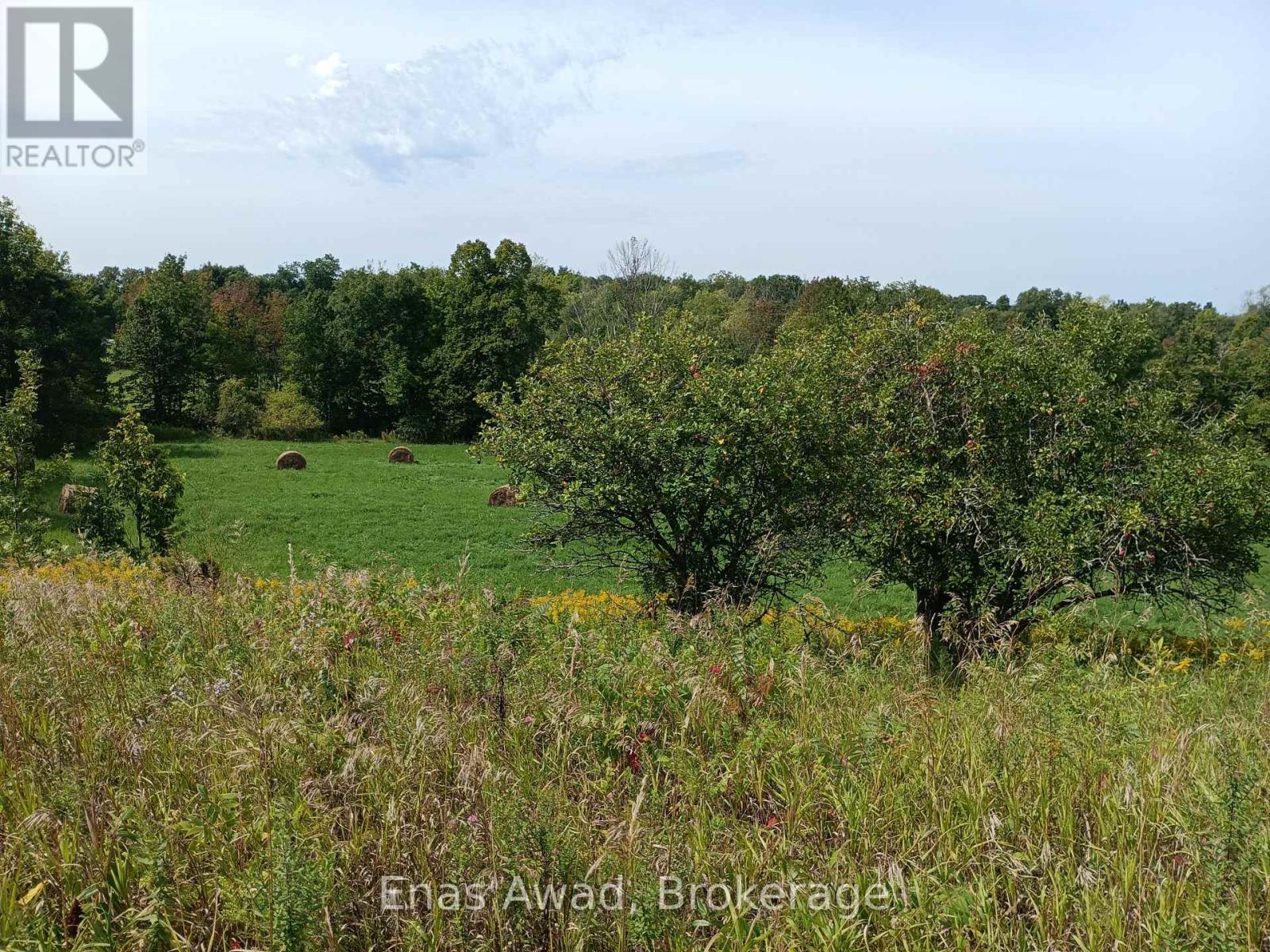 195 Prest Road, Stirling-Rawdon, Ontario  K0K 2M0 - Photo 35 - X12298931
