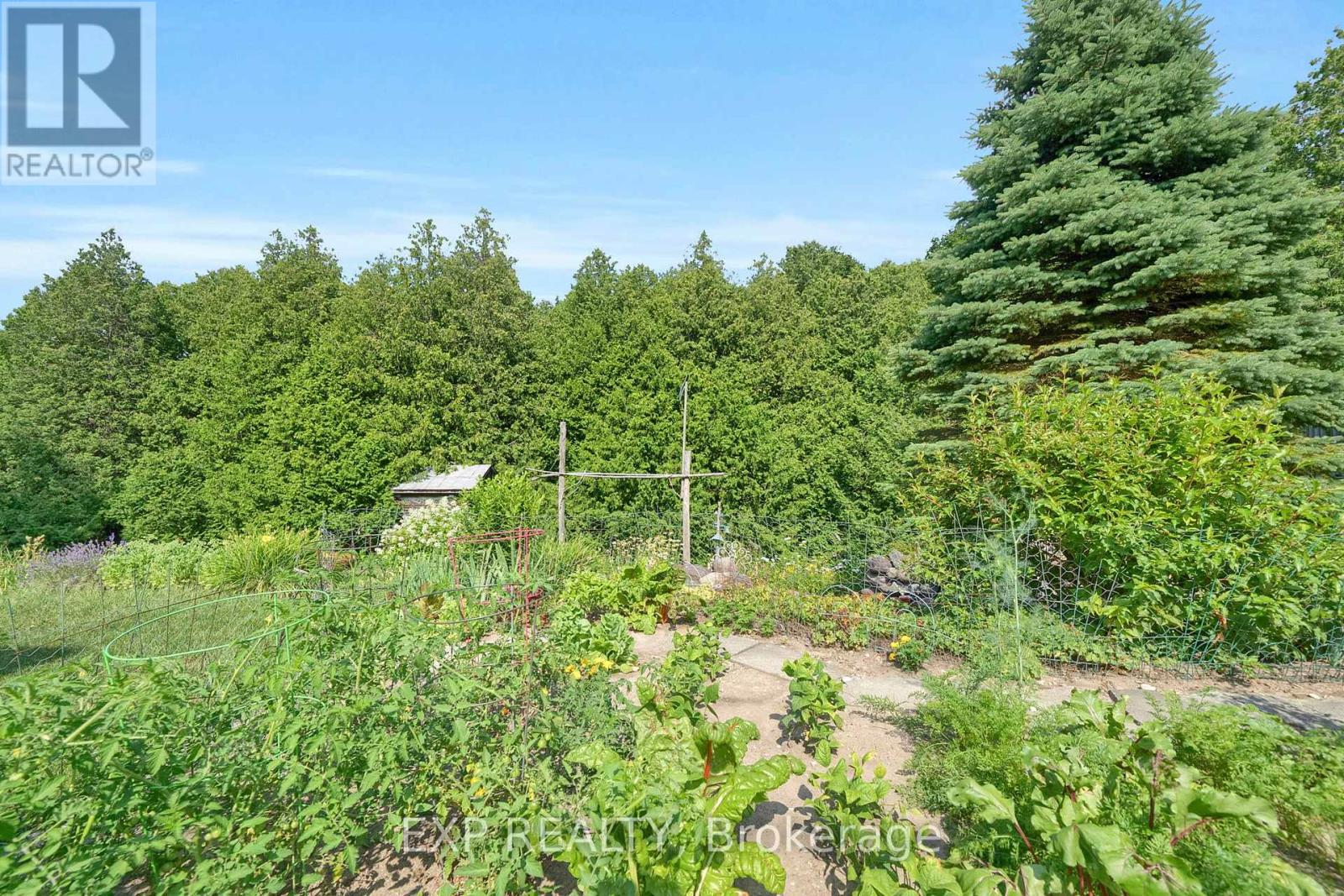 3253 Tooley Road, Clarington, Ontario  L1E 2K7 - Photo 38 - E12299085