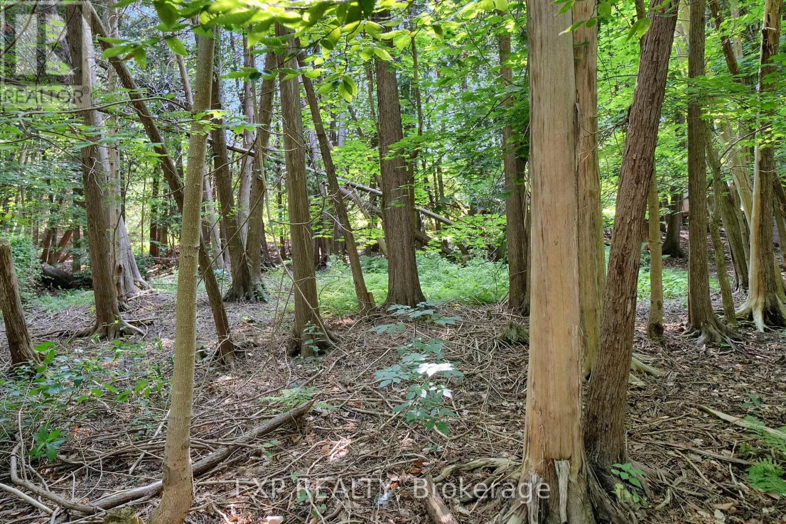 3253 Tooley Road, Clarington, Ontario  L1E 2K7 - Photo 42 - E12299085