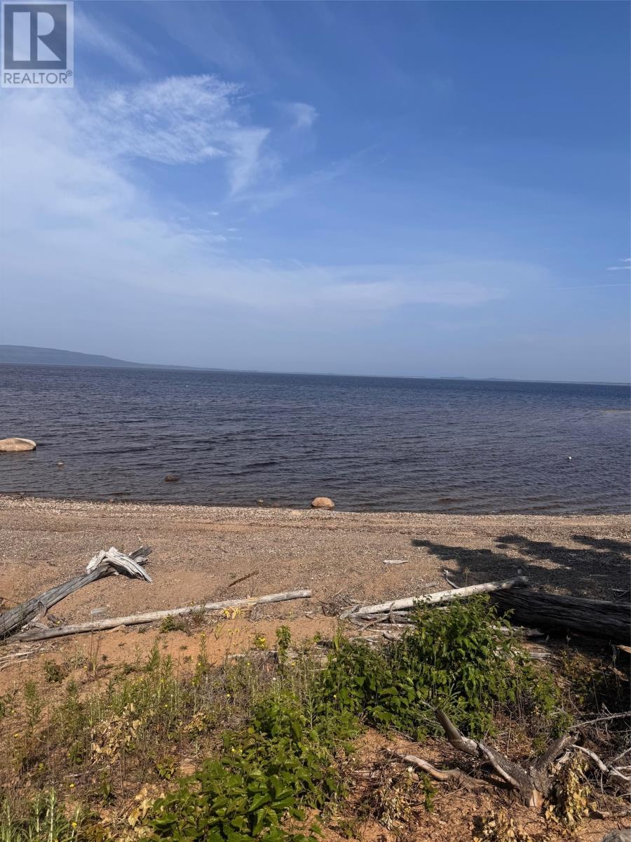 0 Kelvin Brook Road, Howley, Newfoundland & Labrador  A0K 0J4 - Photo 3 - 1288164