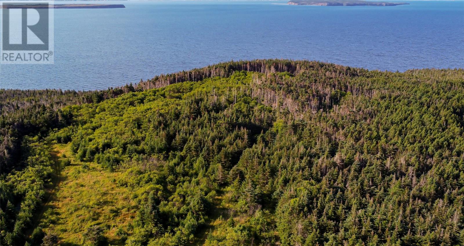 4 Bickfords Road, Bell Island, Newfoundland & Labrador  A0A 2V0 - Photo 2 - 1288134