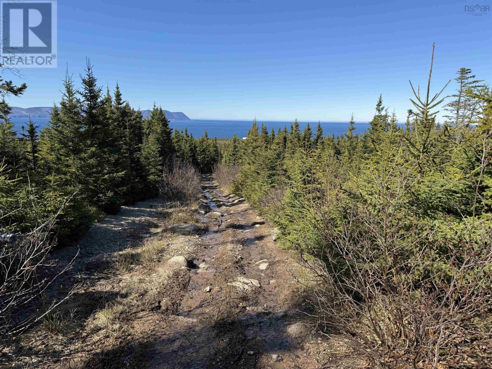 New Haven Road, New Haven, Nova Scotia  B0C 1N0 - Photo 11 - 202516190