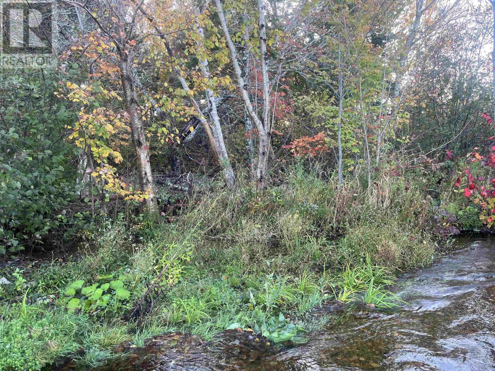 Lot Highway 4, Big Pond, Nova Scotia  B1J 1Z4 - Photo 28 - 202321522