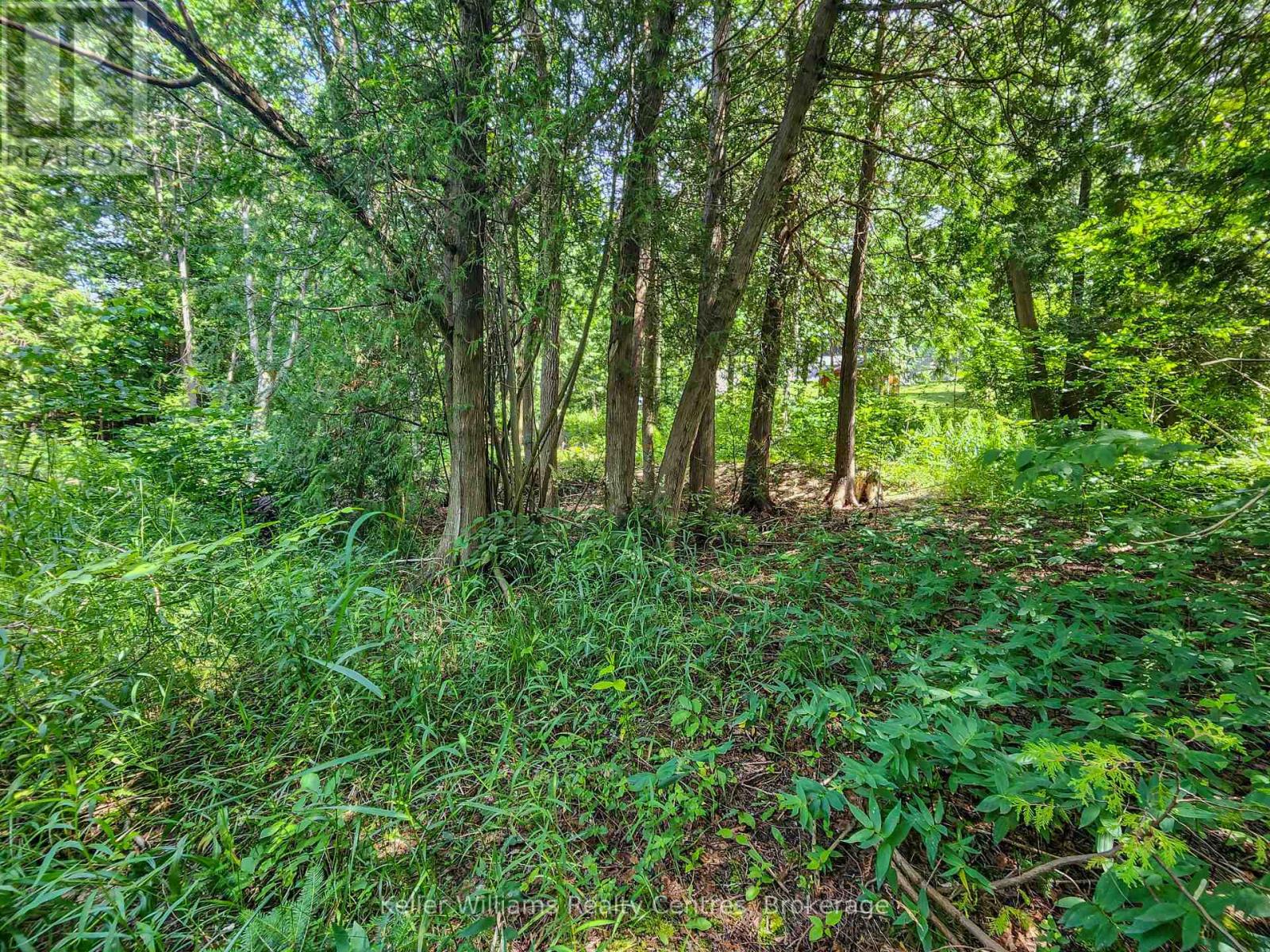 151 Mallard Street, Georgian Bluffs, Ontario  N0H 2T0 - Photo 5 - X12299320